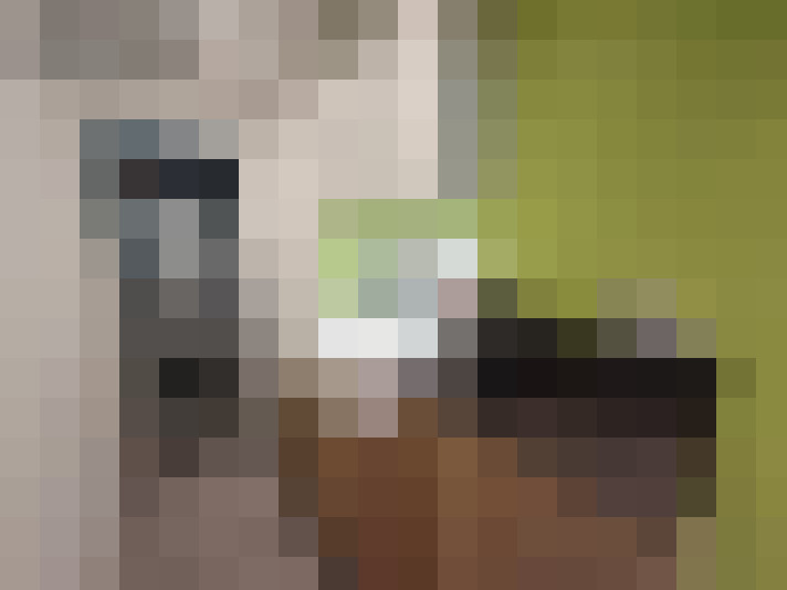  / #7