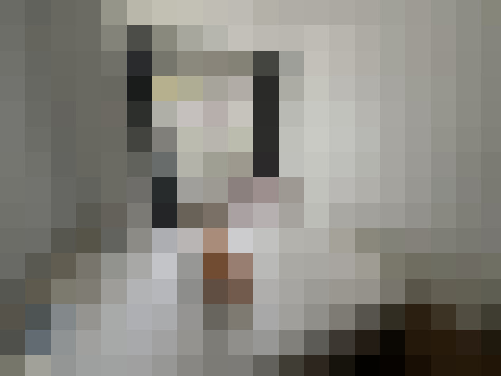  / #16