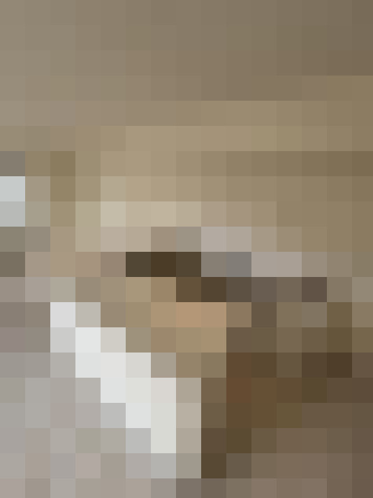  / #14