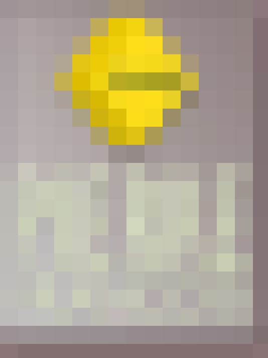  / #11