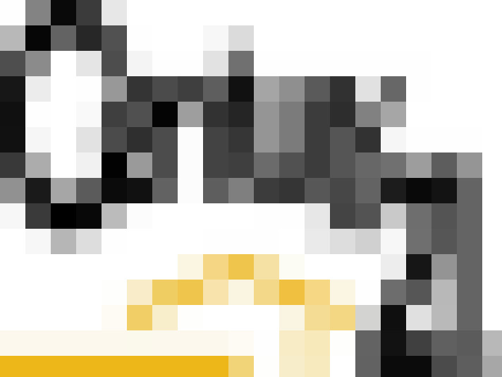  / #19