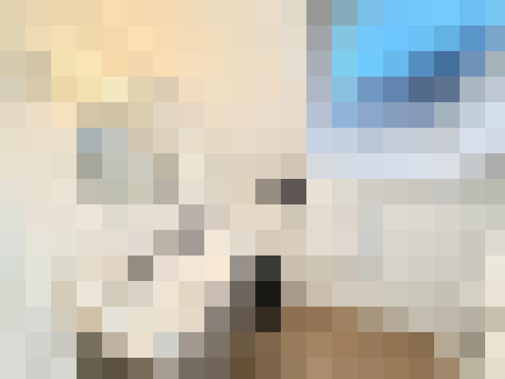  / #14