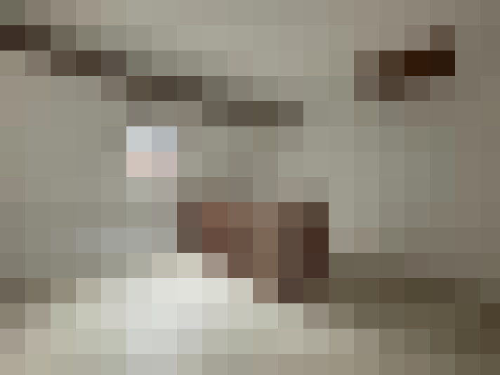  / #8