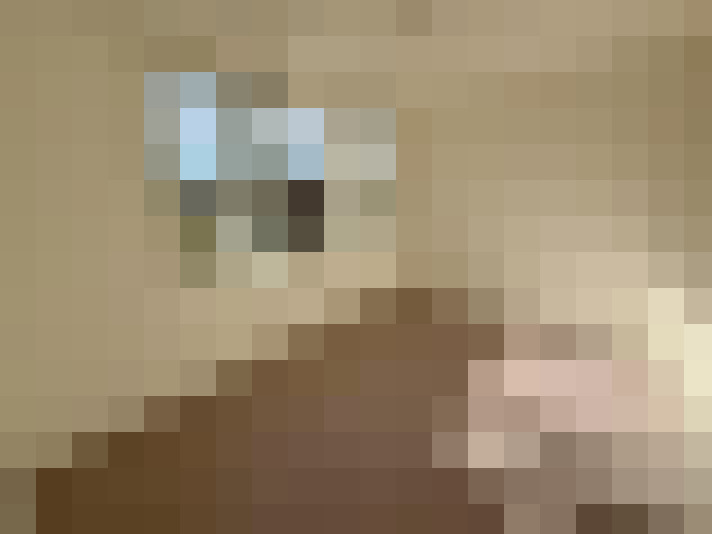  / #15