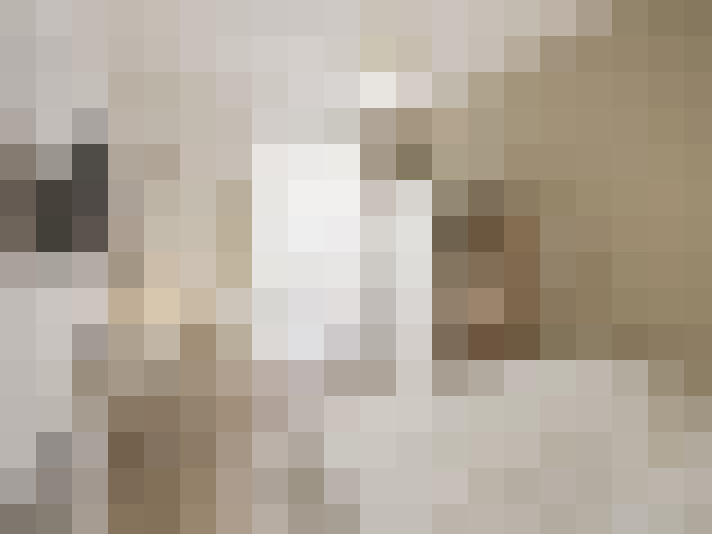  / #17