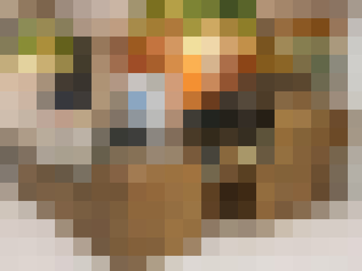  / #14