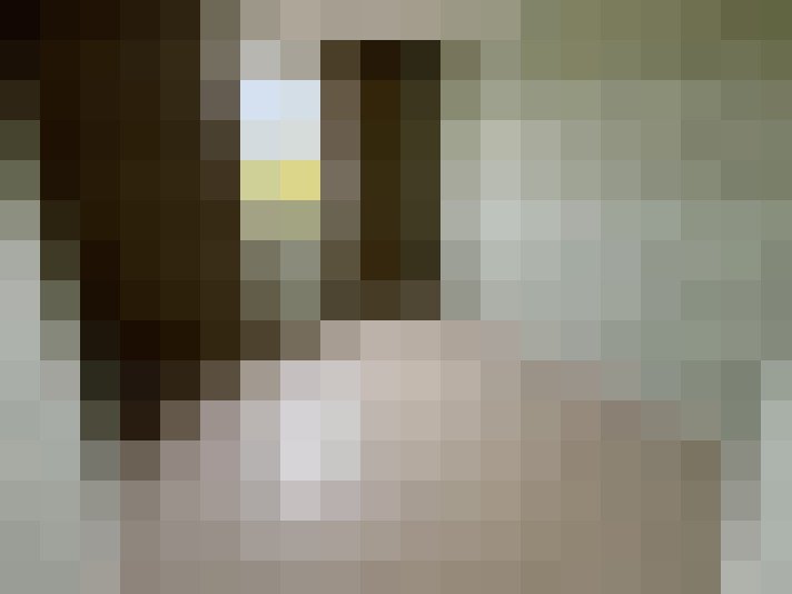  / #15