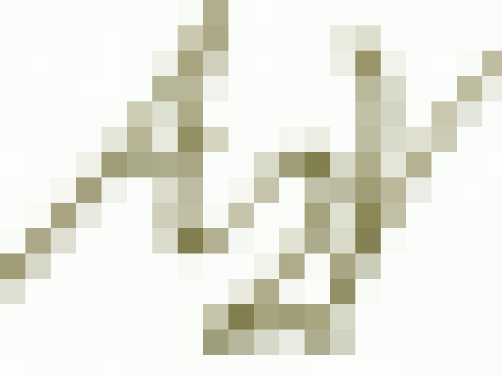  / #24