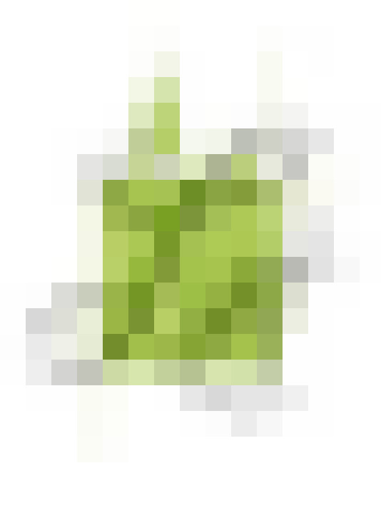  / #11