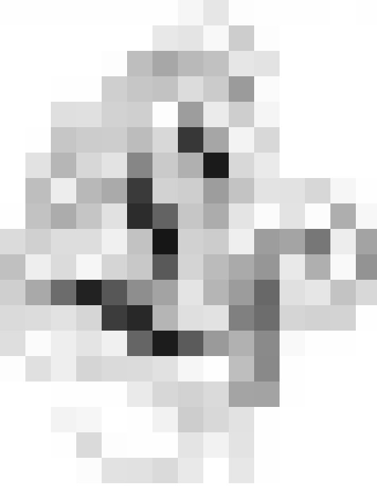  / #19