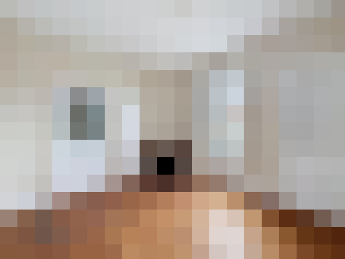  / #17