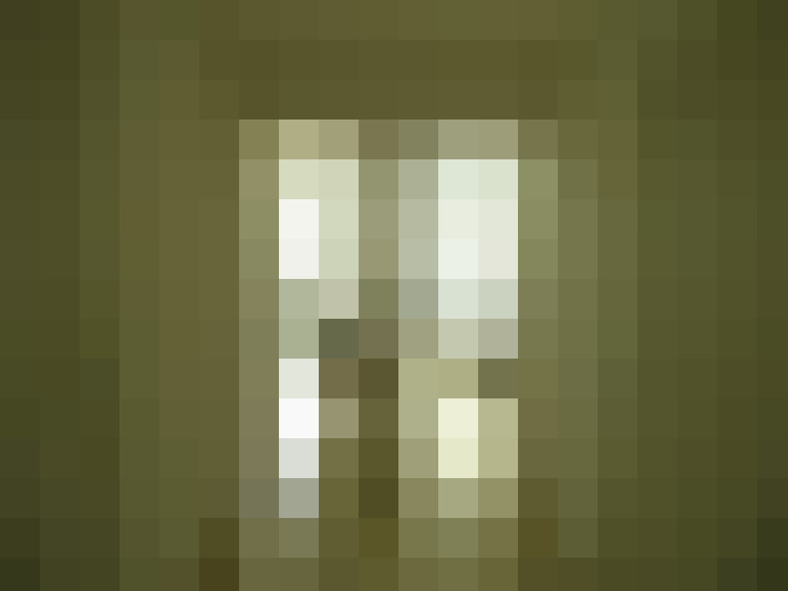  / #17