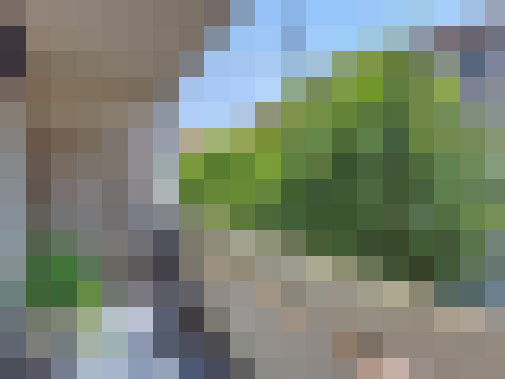  / #15