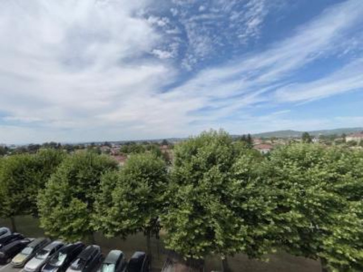 Voir la photo 1/24 du type apartment à Romans-sur-Isère