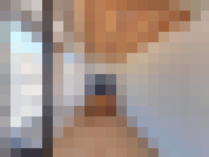  / #8