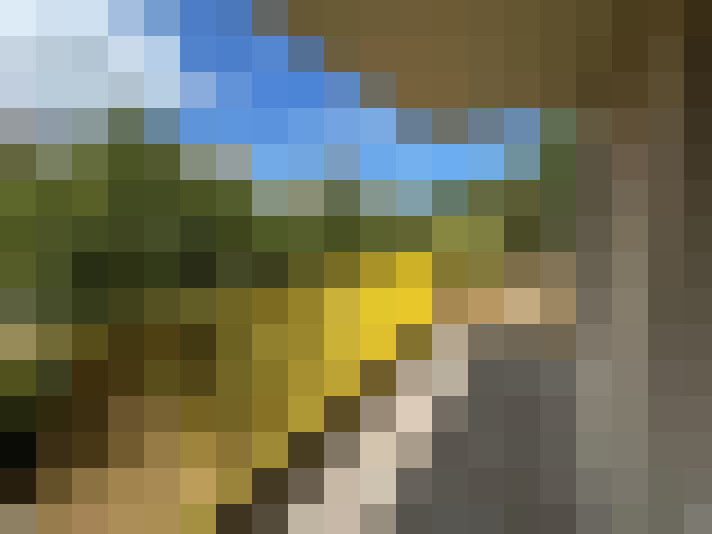  / #6