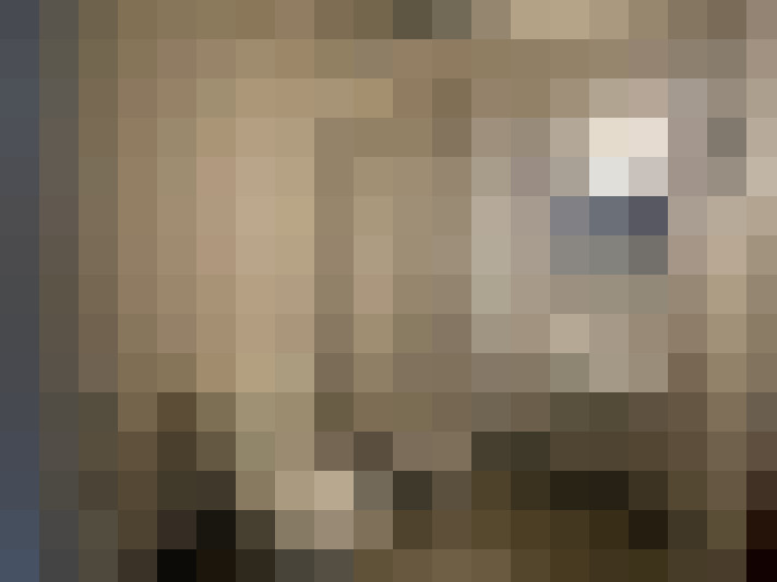  / #16