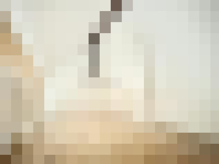  / #11