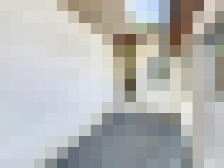  / #14