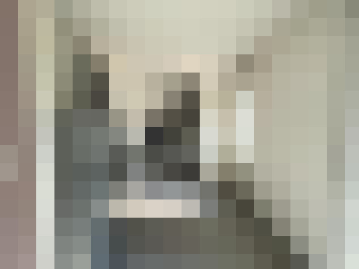  / #15