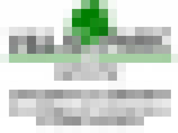  / #6