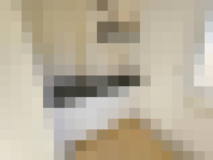  / #15
