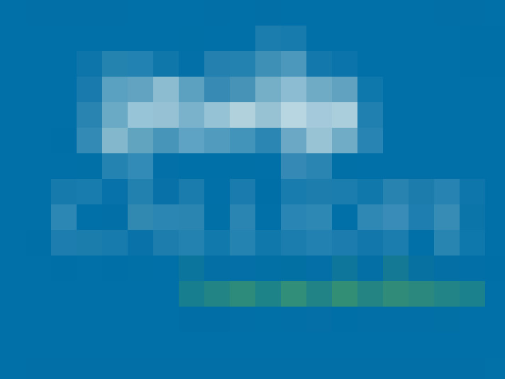  / #23