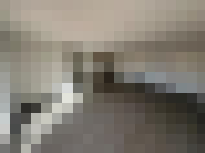  / #15