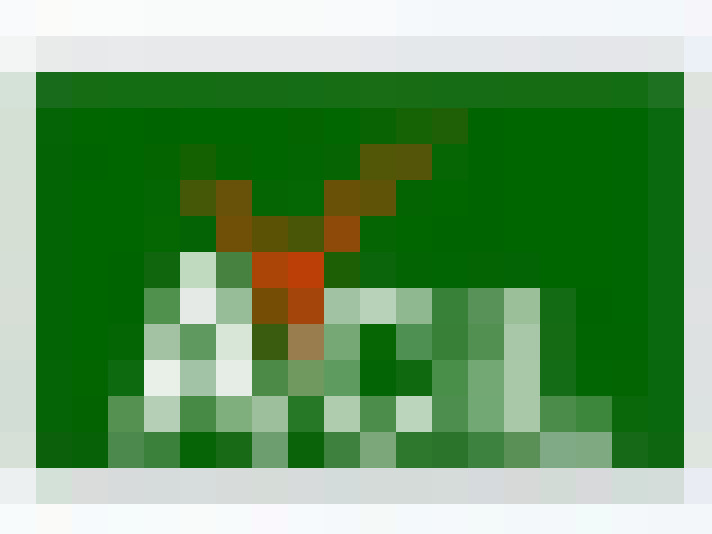  / #7