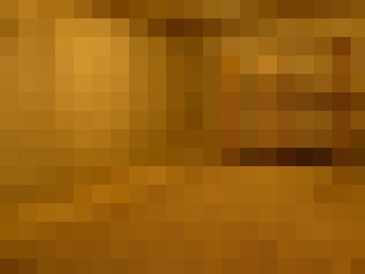  / #31
