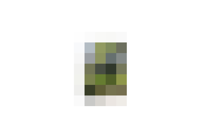  / #14