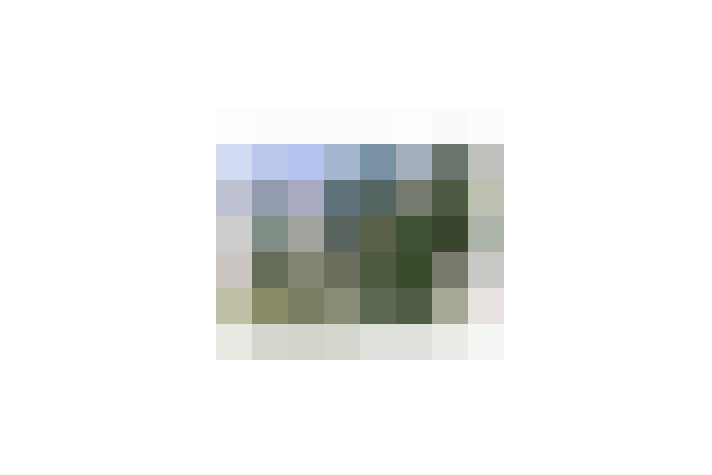  / #17