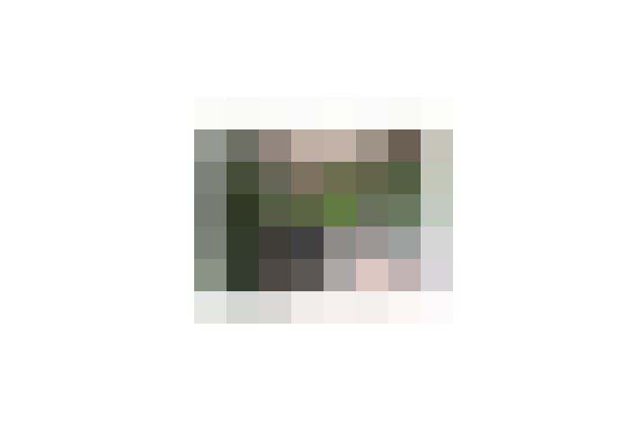  / #16