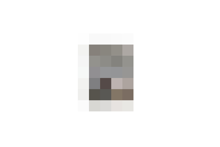  / #19