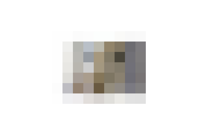  / #19