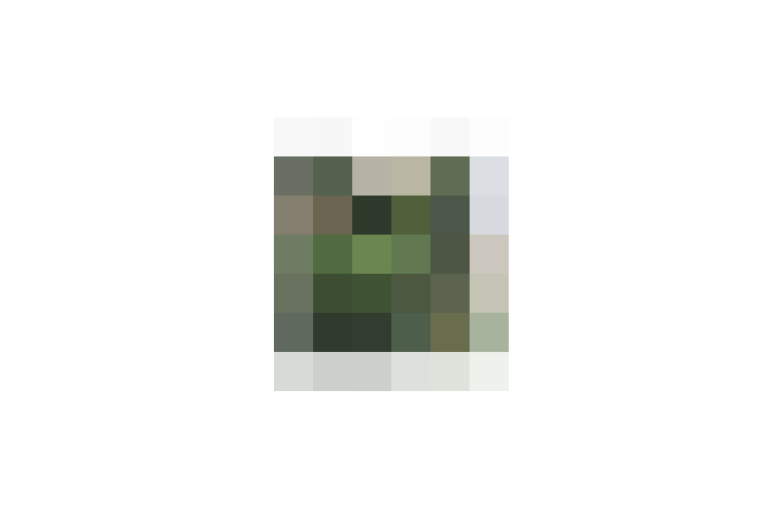  / #14