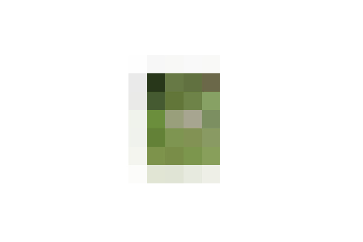  / #15
