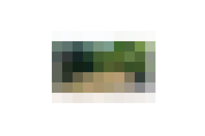  / #18