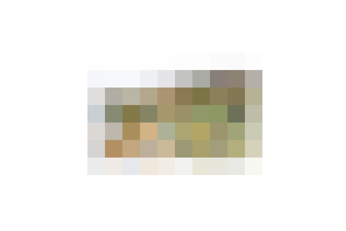  / #17