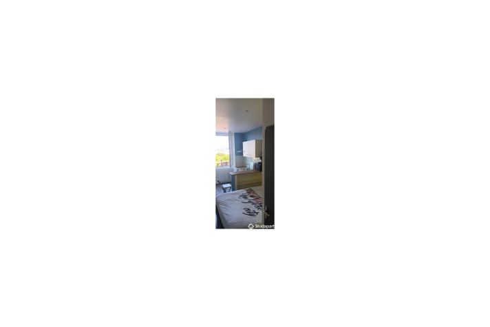 Voir la photo 1/7 du type studio à Saint-Étienne