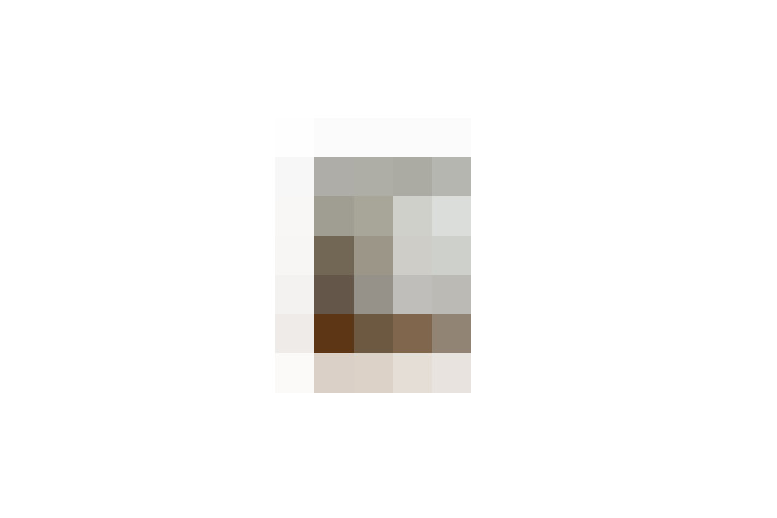  / #17