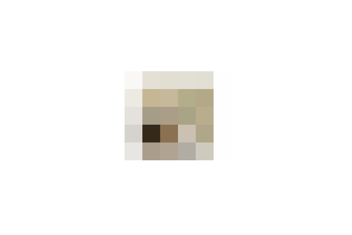  / #6