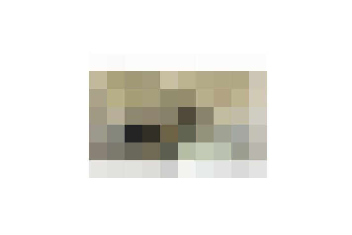  / #17