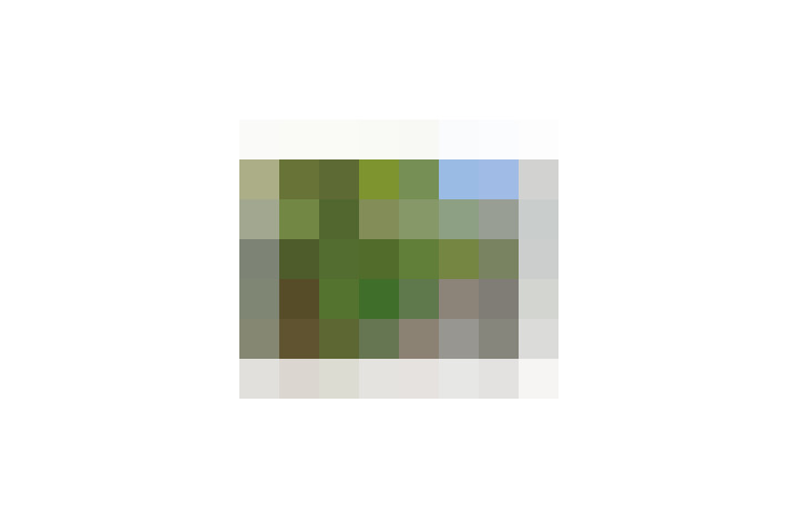  / #13