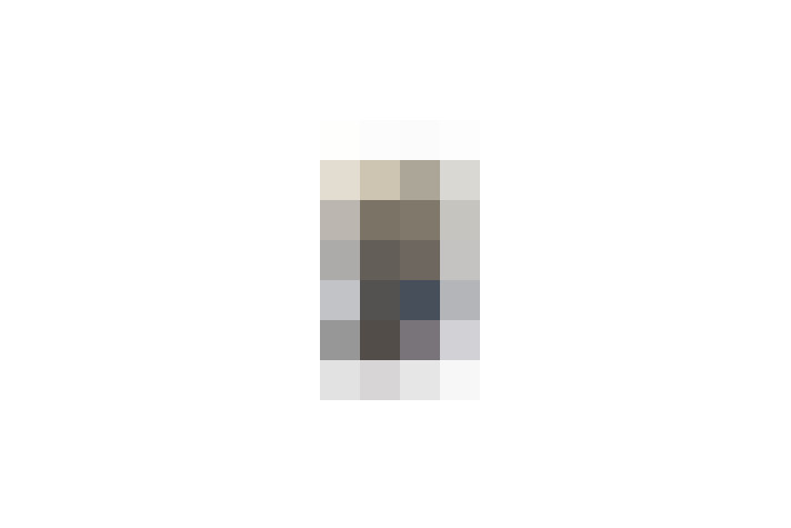  / #19