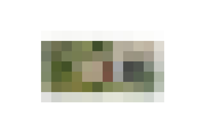  / #12