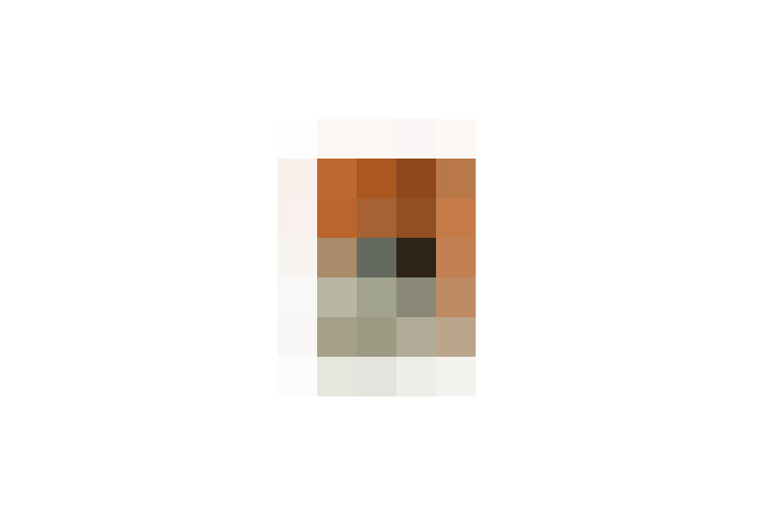 / #11