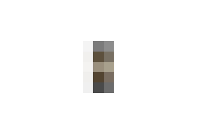  / #16