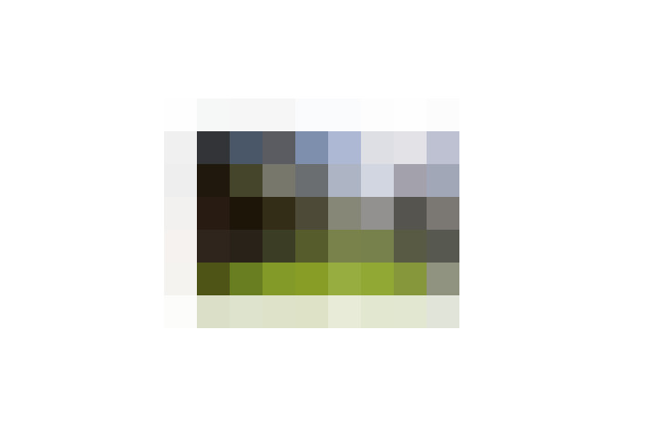  / #19