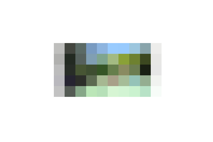  / #19